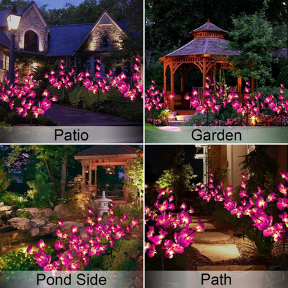 Collage of Solar Orchid Garden Lights in various settings including a patio, garden, pond side, and path.