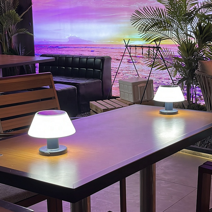 Two table lamps on a table with a scenic view of water and sky in the background.